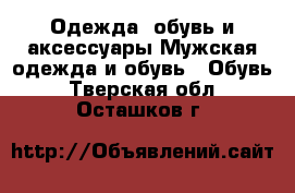 Одежда, обувь и аксессуары Мужская одежда и обувь - Обувь. Тверская обл.,Осташков г.